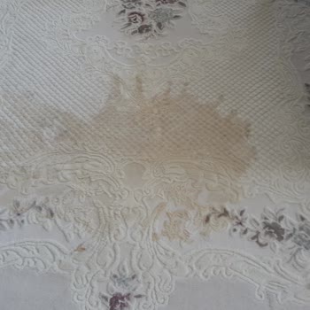 Fabrika Halı Yıkama Mağduriyeti