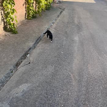 Kazılan Yol Çocuklar Ve Araçlar İçin Tehlike Saçıyor, Çözüm Bekliyoruz