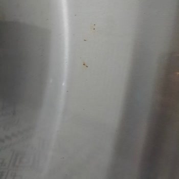 Bosch Buzdolabında Alt Kapıda Artan Paslanma Sorunu