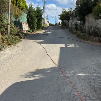 İhmal Edilen Direk Evime Zarar Verdi, Çözüm Bekliyorum