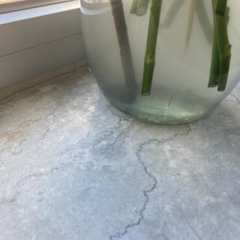 Çiçek Sepeti'nden Teslim Edilen Çiçeklerde Sürekli Sorun Ve Yetersiz Çözüm