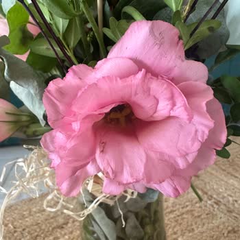 Solmuş Ve Özensiz Çiçek Teslimatı, Yetersiz Müşteri Hizmeti