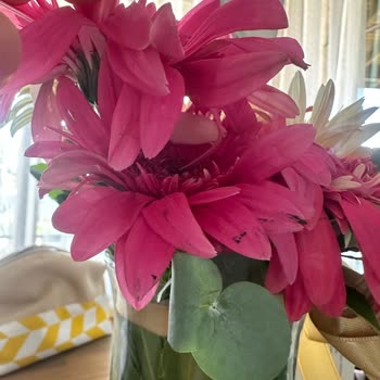 Solmuş Ve Özensiz Çiçek Teslimatı, Yetersiz Müşteri Hizmeti