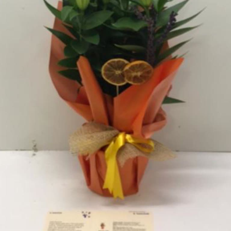 Hayal Kırıklığı Yaratan Sipariş Ve İade Talebi