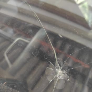 Cam Değişikliği Talebinde Süreçte Yaşanan Gecikme Ve Bilgilendirme Eksikliği Nedeniyle Mağduriyet