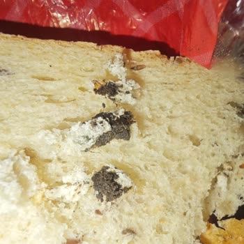 UNO Çok Tahıllı Tava Ekmeğinden Çıkan Kıl Ve Siyah Kitle Hijyen Endişesi Yarattı