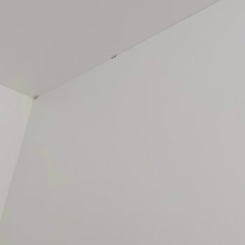 Eksik Ve Kusurlu Teslimat, Sürekli Erteleme: Paramızla Mağdur Edildik