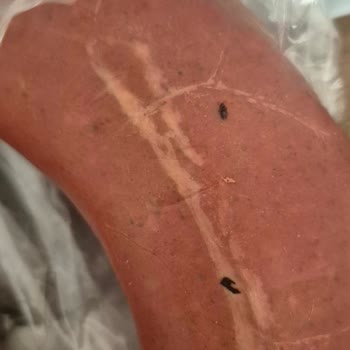 Zirve Sucuk Paketinde Böcek Çıkmasıyla Yaşanan Sağlık Ve Güven Sorunu