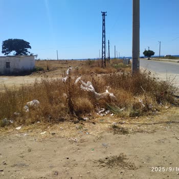 A101 Kapandıktan Sonra Tüm Çöplerini Sahilde Bırakıp Gittiler!