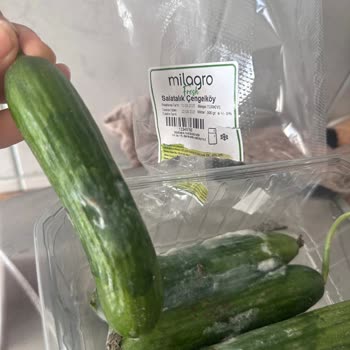 Küflü Ürün Ve Yetersiz Telafi: Müşteri Memnuniyeti Göz Ardı Edildi