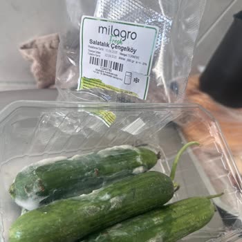 Küflü Ürün Ve Yetersiz Telafi: Müşteri Memnuniyeti Göz Ardı Edildi