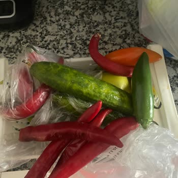 Acil İhtiyaca Rağmen Arçelik Buzdolabı Teslimatında Büyük Mağduriyet Yaşadım