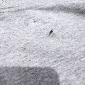 I Face Clothes Tearing Issue on Samsung WW11BBA046AEAH Washing Machine