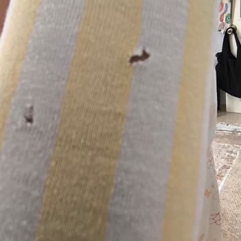 I Face Clothes Tearing Issue on Samsung WW11BBA046AEAH Washing Machine