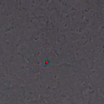 Bozuk Telefon İçin Suçlanmak Ve Çözüm Bulamamak