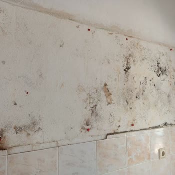 Su Baskını Sonrası Eksik Sigorta Ödemesiyle Yaşanan Mağduriyet Ve Hakkımızın Teslimini Talep Ediyoruz