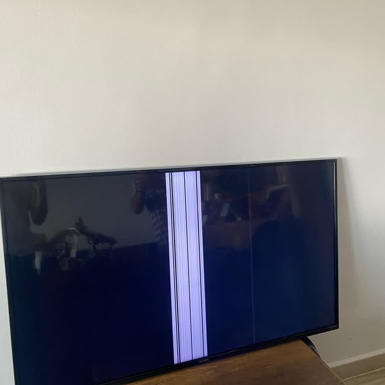 2 Yıl İçinde İki Kez Panel Arızası Ve Yüksek Tamir Ücreti Mağduriyeti