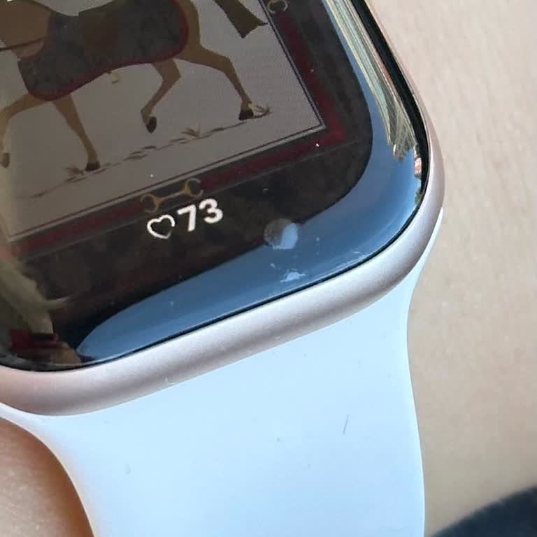 Aldığım Ekran Koruyucu İlk Günden Sorun Çıkardı