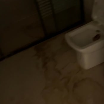 Yeni Teslim Edilen Dairede Eksiklikler Ve Temizlik Sorunları