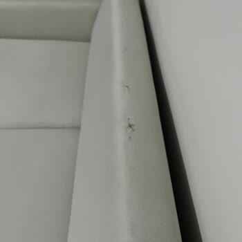 Taşıma Sonrası Yenileme Ve Tamir Sorunları Çözülmedi