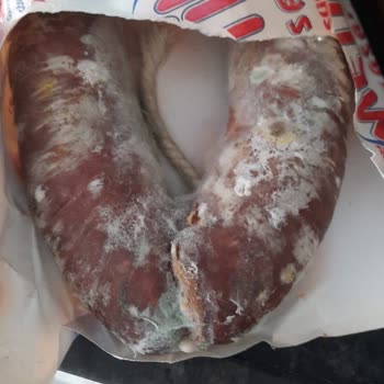 Kargoda Bekleyen Ürünüm Bozuldu, Ücret İadesi Talep Ediyorum