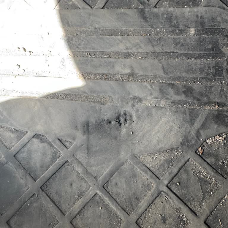 Yeni Aracımda Silecek Ve Paspas Sorunları Garanti Kapsamında Çözülmeli