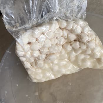 Bozuk Ve Hijyensiz Ürünlere Çözüm Sunulmadı, İade Ücreti Yüksek