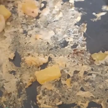 Schafer'den Aldığım Tavanın Yapışması