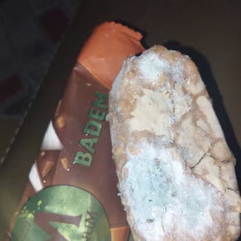 Bozuk Ve Küflü Magnum Mini Nedeniyle Mağduriyet Yaşadım, Daha Etkili Çözüm Bekliyorum