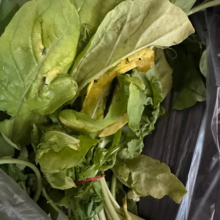 Sürekli Çürük Ürün Teslimatı Ve Güven Sorunu Yaşıyorum