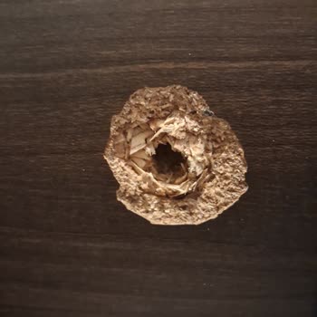 Vivense Yatak Odası Takımında Baza Ayağı Kırılması Ve Garanti Sorunu!