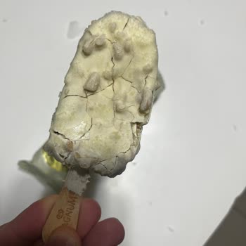 Küflenmiş Ve Erimiş Dondurma Teslimatı Sonrası Olumsuz Müşteri Hizmeti Deneyimi