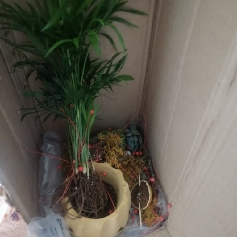 Geç Ve Hasarlı Çiçek Teslimatı, Ücret İadesi Talebi