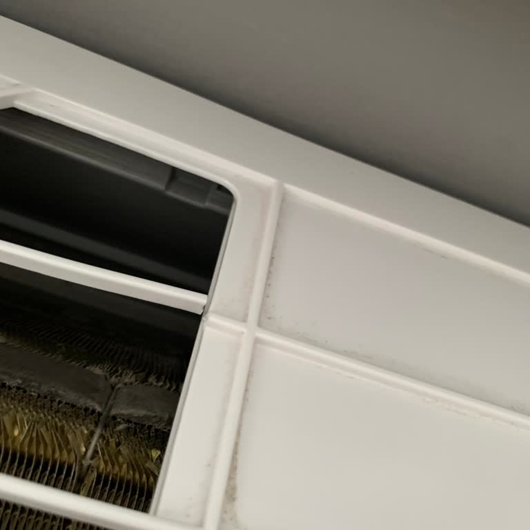 Klimam Yetersiz Temizlendi, Ses Sorunu Devam Ediyor Ve Servisten Dönüş Alamadım