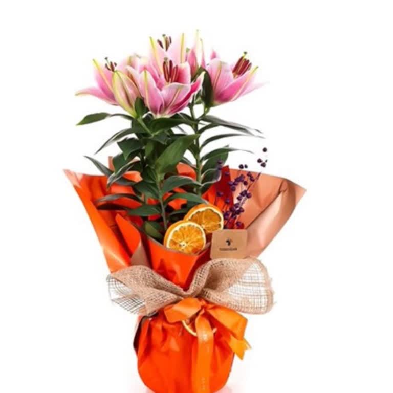 Siparişim Dışında Çiçek Gönderildi Onayım Alınmadı