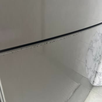 LG Buzdolabında Boya Atması Ve Müşteri Hizmetlerinin İlgisizliği