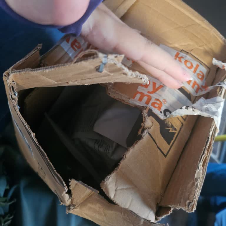 Hepsijet İle Eksik Ve Hasarlı Kedi Maması Teslimatı Mağduriyeti