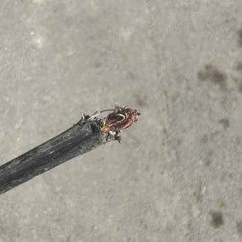 İnşaat Nedeniyle Kesilen İnternet Hizmeti Ve Haksız Cayma Bedeli Talebi