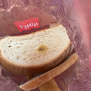 Son Kullanma Tarihi Geçmemiş Ekmeğin Küflü Çıkması Hayal Kırıklığı Yarattı