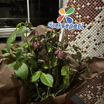 Çiçek Sepeti Solmuş Gül İçin Yetersiz Telafi Ve Hayal Kırıklığı