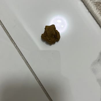 Kedi Mamasında Hatalı Parçalar: Değişim Talebim Var