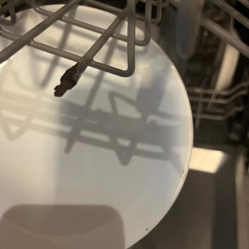 Bulaşık Makinesi Sepetlerinde Çürüme Ve Paslanma Şikayeti