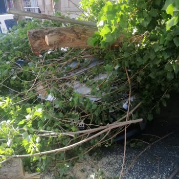 Doğal Afet Sonrası Kasko Ödemesi Gecikiyor: Karşı Taraf Bilgisi Talebi Mağdur Ediyor