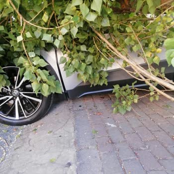 Doğal Afet Sonrası Kasko Ödemesi Gecikiyor: Karşı Taraf Bilgisi Talebi Mağdur Ediyor