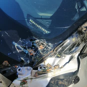 Doğal Afet Sonrası Kasko Ödemesi Gecikiyor: Karşı Taraf Bilgisi Talebi Mağdur Ediyor