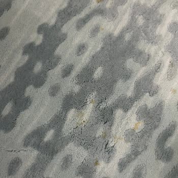 Mera Halı Yıkama Tesisi Halıların Lekesini Çıkarmadan Teslim Etti