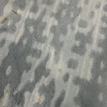 Mera Halı Yıkama Tesisi Halıların Lekesini Çıkarmadan Teslim Etti