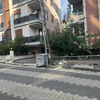 Kaldırılan Çöp Konteyneri Tekrar Konuldu, Mahallede Huzursuzluk Yaşıyoruz