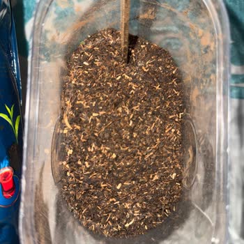 Efor Çay Paketinden Çıkan Saman Büyük Hayal Kırıklığı Yaşattı