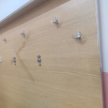 Güzeltepe Ortaokulu (Eyüpsultan) Hijyen Koşullarının Sağlanamaması